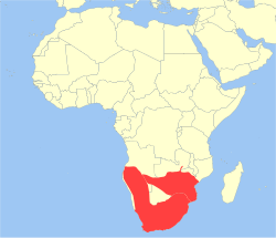 Distribución de P. ursinus.