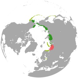 Área de distribución de Polysticta stelleri En verde escuro: área de cría; en verde claro: área de invernada; en vermello: área abandonada