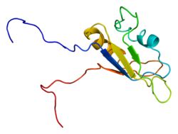 Protein EWSR1 PDB 2cpe.png