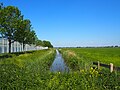 Scheewatering en Dorppolderweg