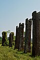 Remains of pillars of Sisupalgarh