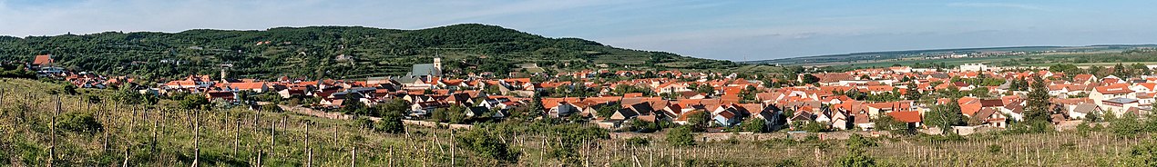 Panoráma Svatého Jura z bratislavských humen