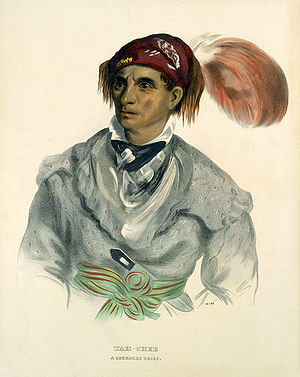 Tah-Chee (Dutch), A Cherokee Chief