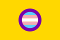 Transgender intersex flag (2017)