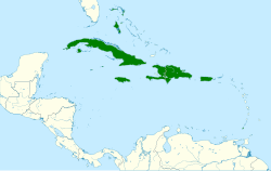 Distribución geográfica del tirano guatíbere.