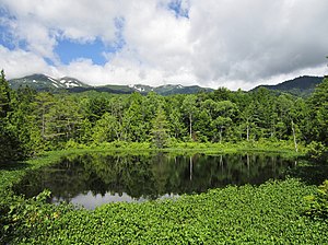 展望台から見た牛留池