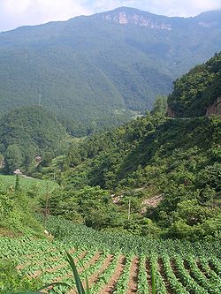 Близо до Wujiaping (между Gaoqiao и Nanyang)