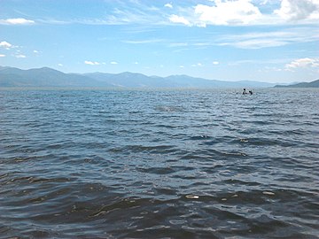 Водите на Преспанското Езеро во околината на Отешево