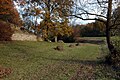 alte Schneise des Württembergischen Landgrabens am Zusammentreffen der Gemarkungen von Lauffen, Talheim und Ilsfeld