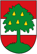 Wappen von Dornbirn
