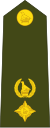 Зимбабве-Армия-OF-4.svg