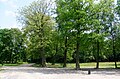 park, XVIII w., po 1870