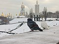 Мініатюра для версії від 08:55, 27 вересня 2013