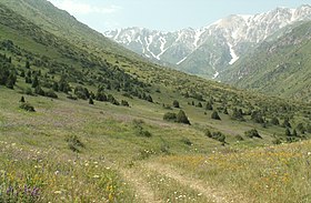 Image illustrative de l’article Tien Shan occidental