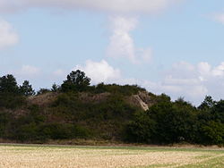 Image illustrative de l’article Motte de Puy Taillé