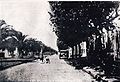Центральная улица (1919)