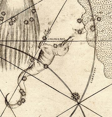 Musca (constellation) was made an FA by fifth-place Casliber, seen here under its former name, Apis, in its first depiction in a celestial atlas.
