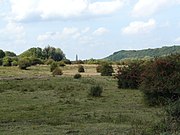 Zicht over Blauwe Kamer met in het midden de kerktoren van Rhenen en rechts daarvan de Heimenberg