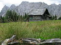 Vaizdas į Vrtačą iš alpinės pievos