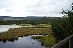 Chalupská slať i närheten av Borová Lada (Šumava).