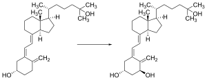 Kidney hydroxylation of calcifediol to calcitriol Calcidiol to calcitriol CH3.svg