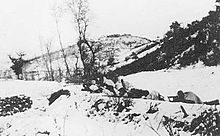 Линия солдат в белом камуфляже лежит на снегу с оружием, направленным влево.