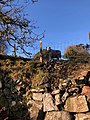 Cornish hedge and sheep at Sharptor