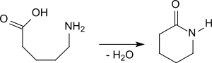 δ-Valerolactam durch Cyclisierung von 5-Aminopentansäure