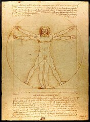 L&rsquo;home de Vitruvi, de Leanordo Da Vinci (Viquipèdia)