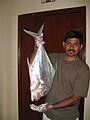 صياد يمسك بسمك خيط هندي طوله 48 سم في دبي