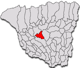 Location in Gorj County