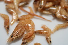 Dried river shrimp.JPG