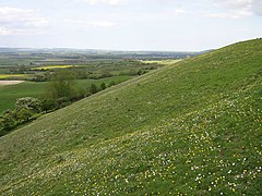 East Heslerton Wold.jpg