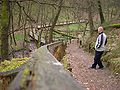 Emsquellen zwischen Hövelhof und Schloß Holte-Stukenbrock