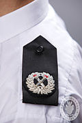 Assistant Chief Constable