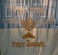 Bandiera del "First Judeans"