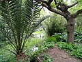 Miniatura para Jardín botánico de la Villa Thuret