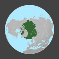 Globe showing Arctic 2.png