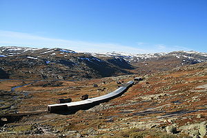 Hallingskeid stasjon oktober 2007.jpg