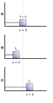 Spring-mass system in equilibrium (A), compressed (B) and stretched (C) states Harmonic oscillator.svg