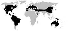 Distribución mundial de Hylidae
