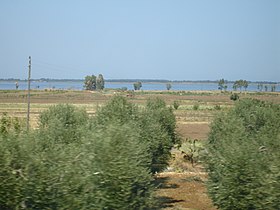 Image illustrative de l’article Lac de Lesina