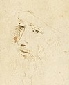 Leonardo da Vinci, new portrait.jpg