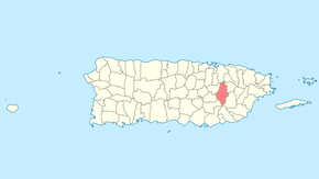 Муніципалітет Кагуас на карті Пуерто-Рико