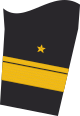 Dienstgradabzeichen eines Konteradmirals (Truppendienst) auf dem Unterärmel der Jacke des Dienstanzuges für Marineuniformträger