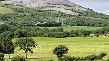 Newtown Castle viewed from An Rath