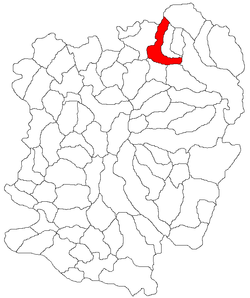 Location in Caraș-Severin County