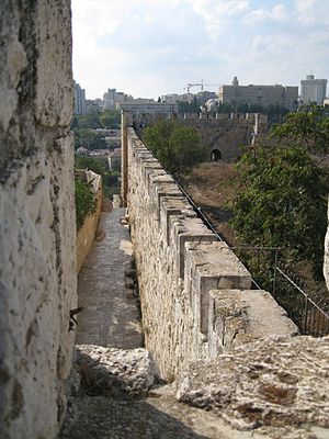 English: Old City Walls of Jerusalem - on Moun...