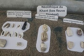 Neolithic flint tools from Khant near Kayar.