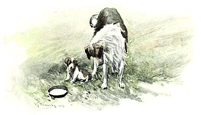 P11, Harper's Magazine 1903 - By and by came my little puppy.jpg